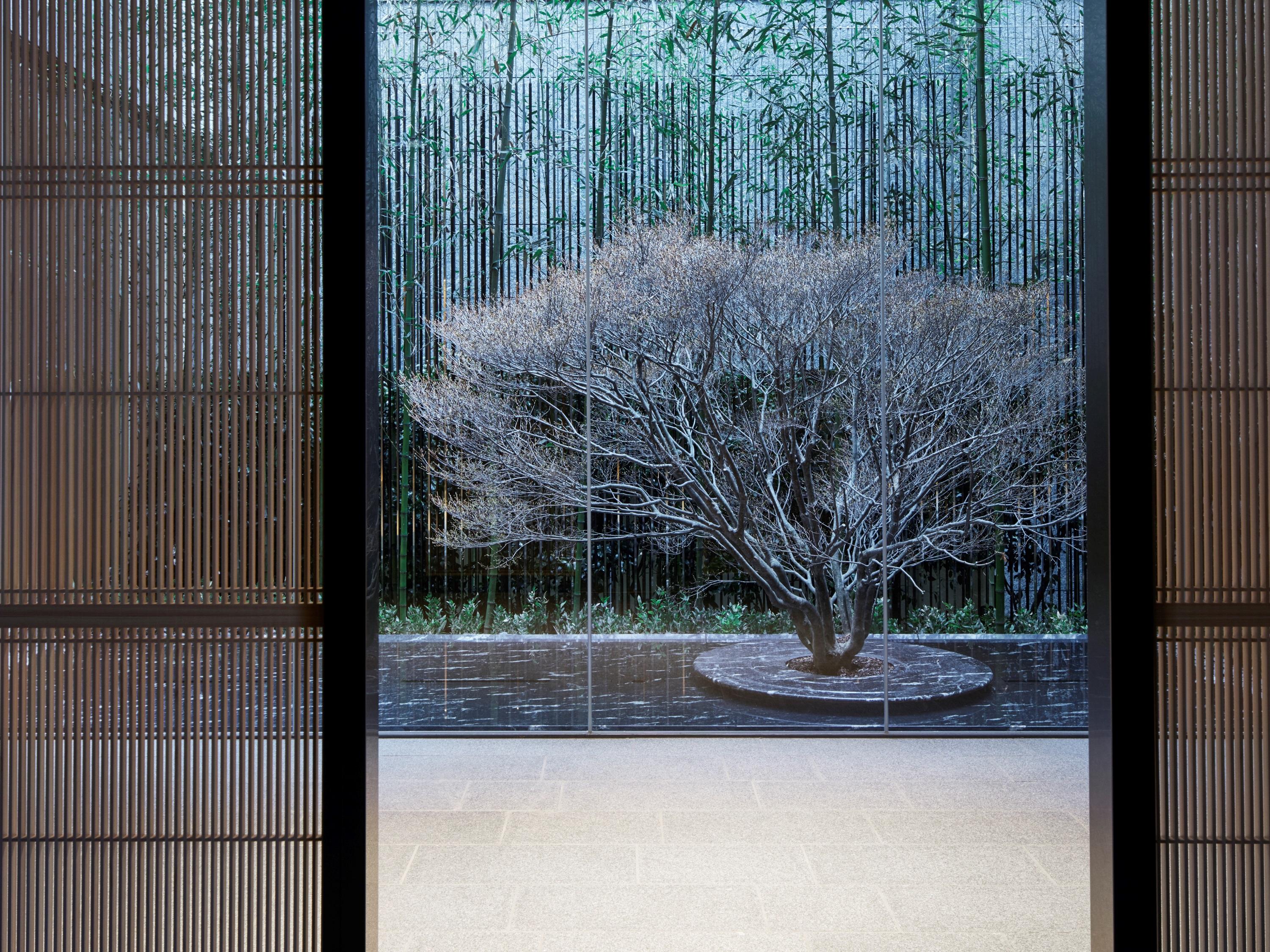 京都千酒店 外观 照片 A view of the garden from the house